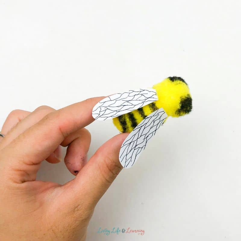 An adult bee created using pom poms