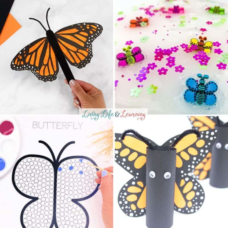 Images of butterfly activities for preschoolers