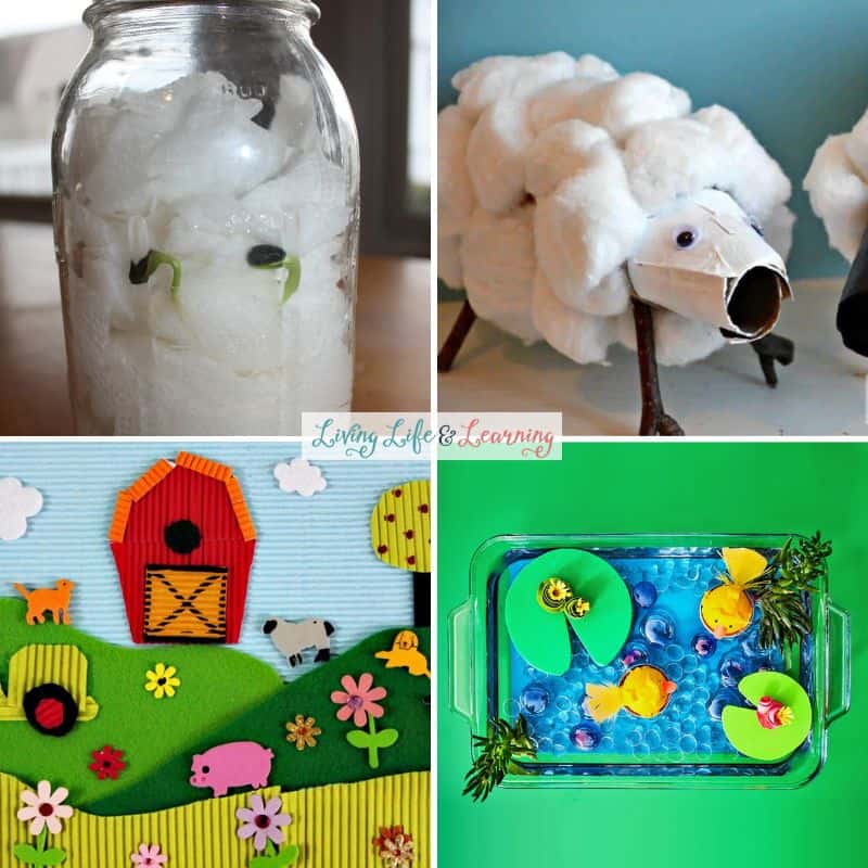 Images of farm activities for elementary students