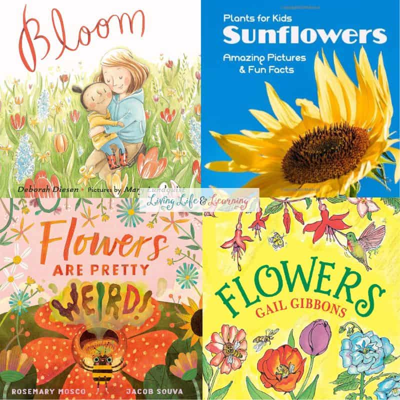Flower Picture Books