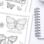 Two Butterfly Coloring Pages on a table