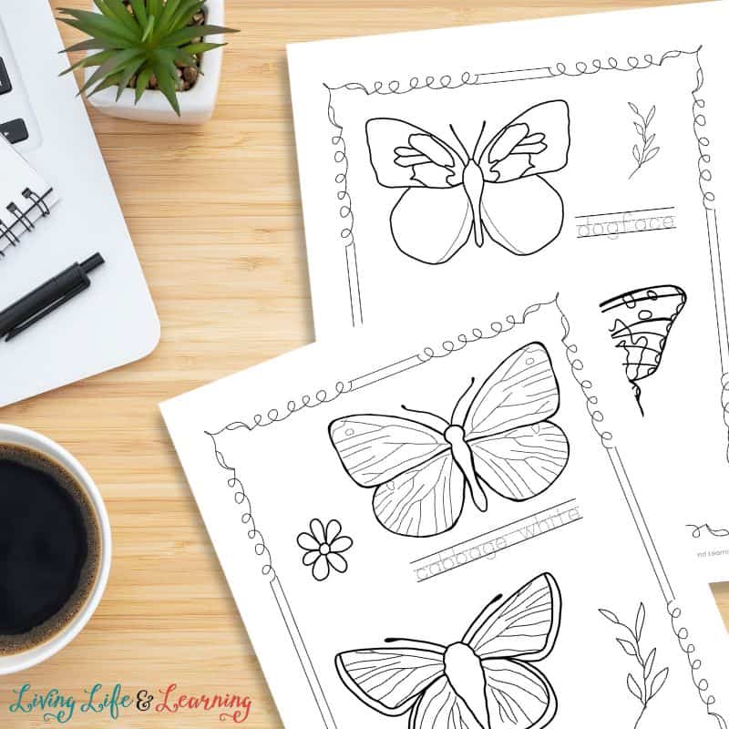 Two Butterfly Coloring Pages on a table.