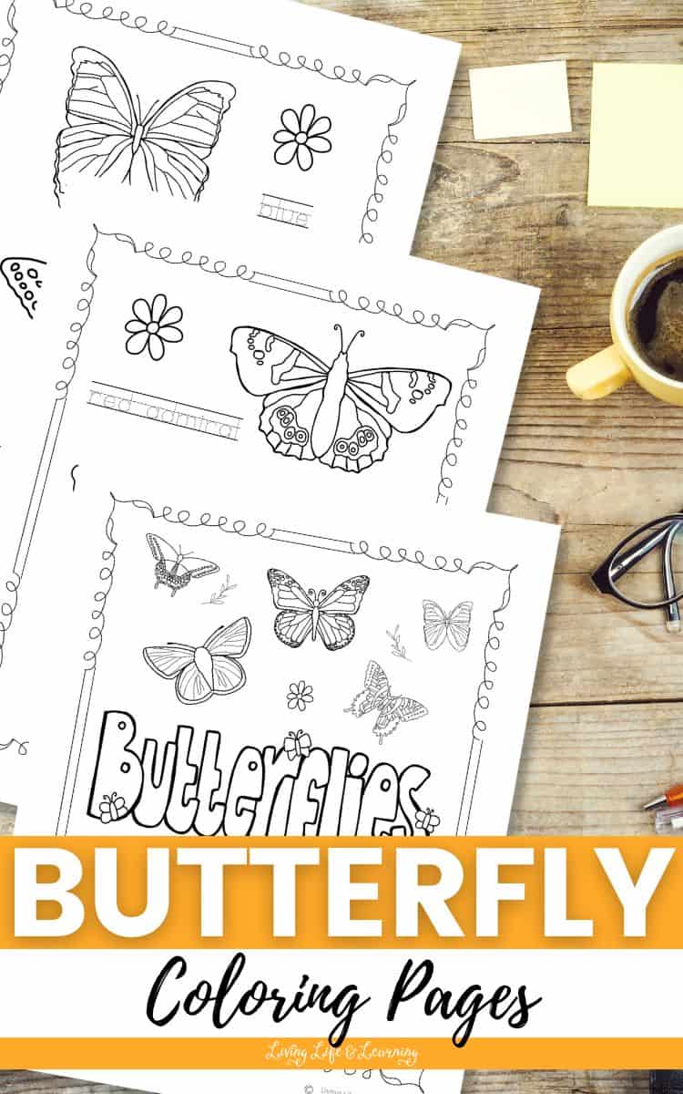 Two Butterfly Coloring Pages on a table.