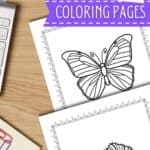 Two Butterfly Life Cycle Coloring Pages on a table