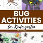 A collage of Bug Activities for Kindergarten