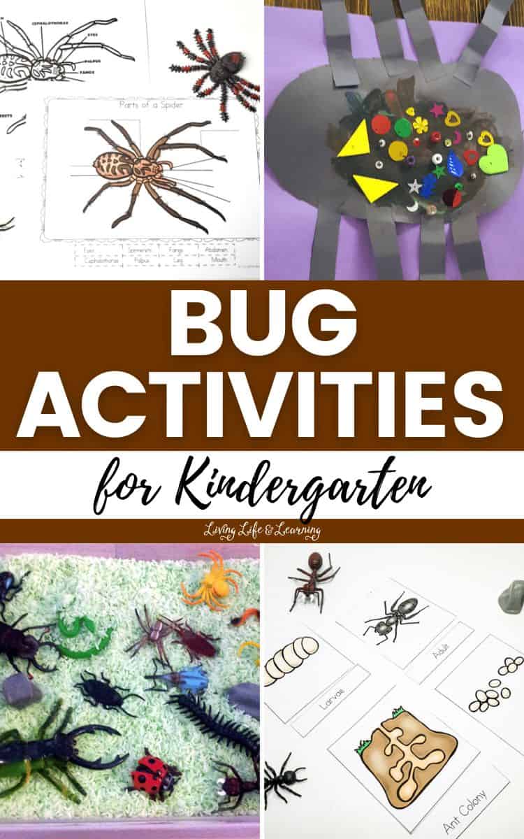 A collage of Bug Activities for Kindergarten