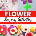 A collage of Flower Sensory Activities