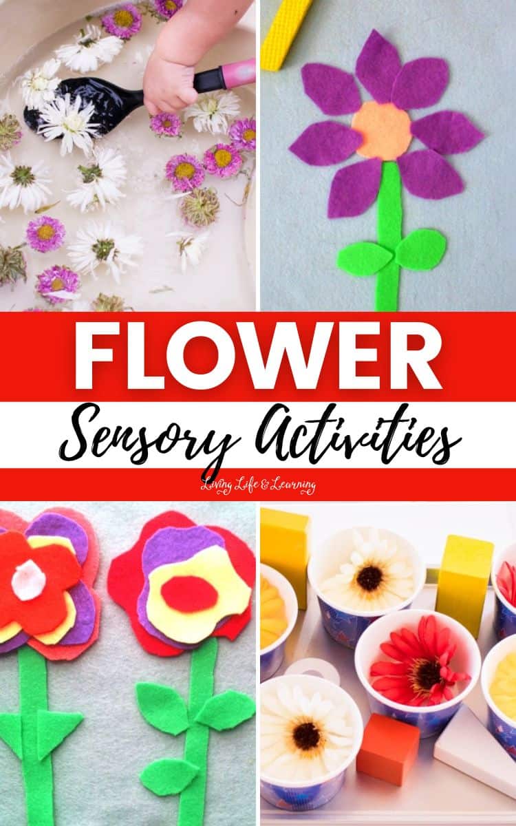 Flower Sensory Activities