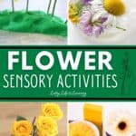A collage of Flower Sensory Activities