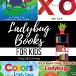 A collage of Ladybug Books for Kids