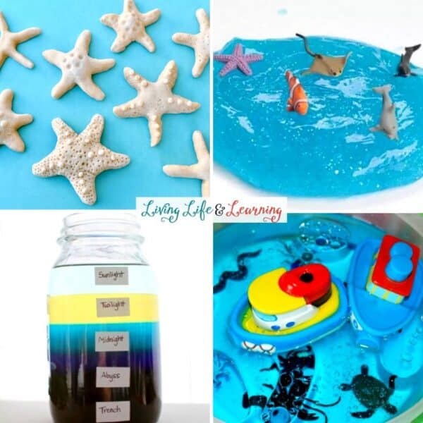 Ocean Science Activities ocean-science-activities