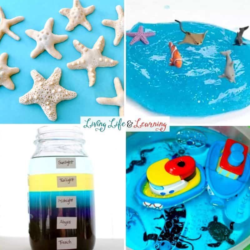 A collage about Ocean Science Activities