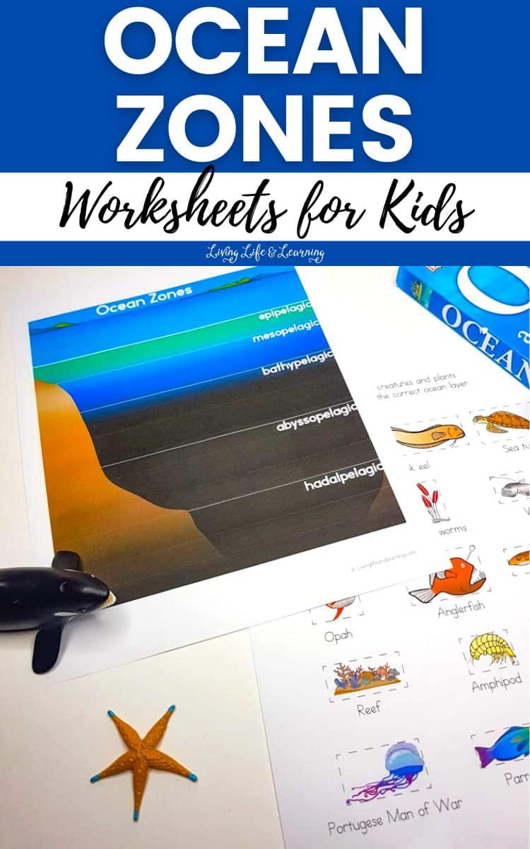 Ocean Zones Worksheets for Kids
