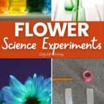 Flower Science Experiments
