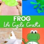 Frog Life Cycle Crafts