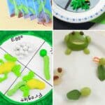Frog Life Cycle Crafts