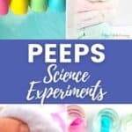 Peeps Science Experiments