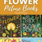 Images of Flower Picture Books