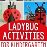Ladybug Activities for Kindergarten Images