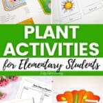 A collage of Plant Activities for Elementary Students