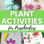 A collage of Plant Activities for Preschoolers