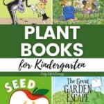 Plant Books for Kindergarten