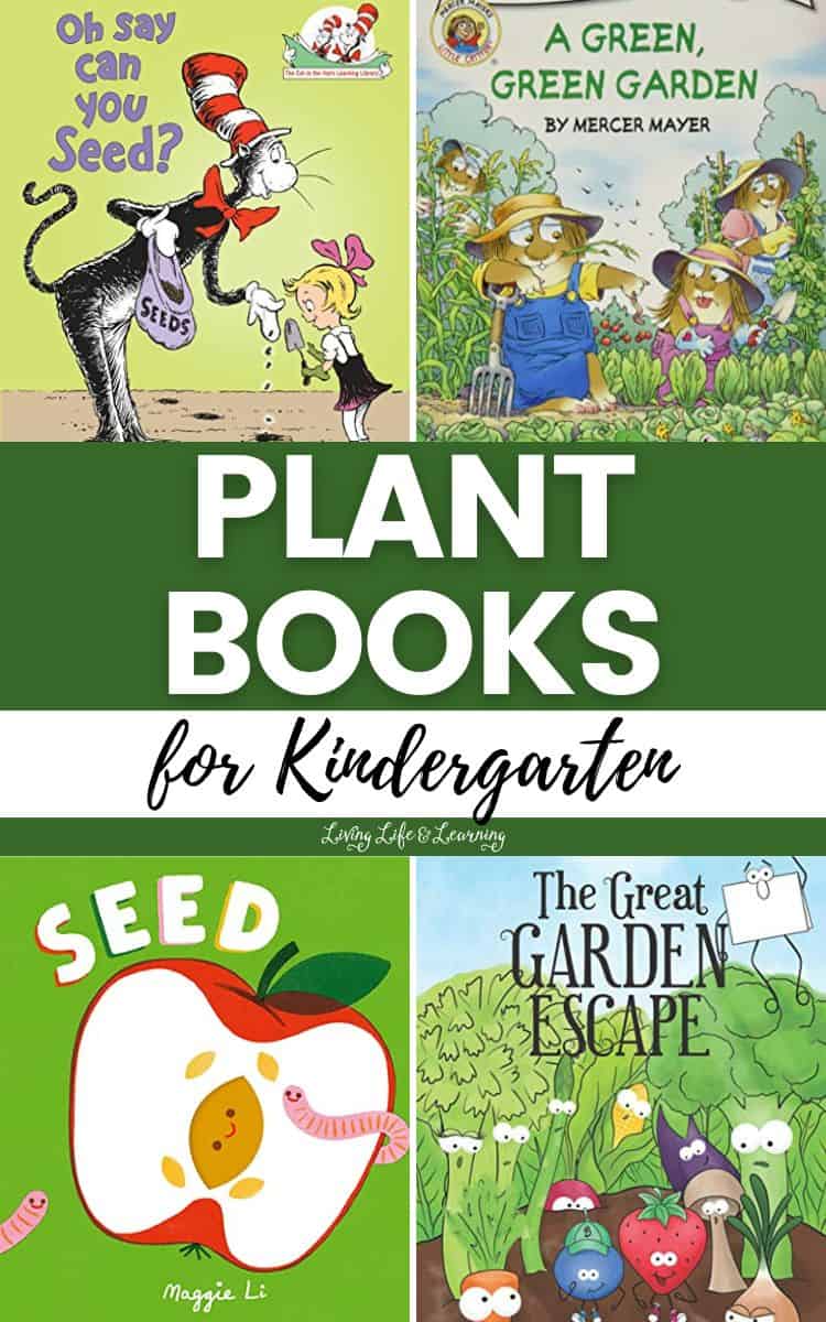 Plant Books for Kindergarten