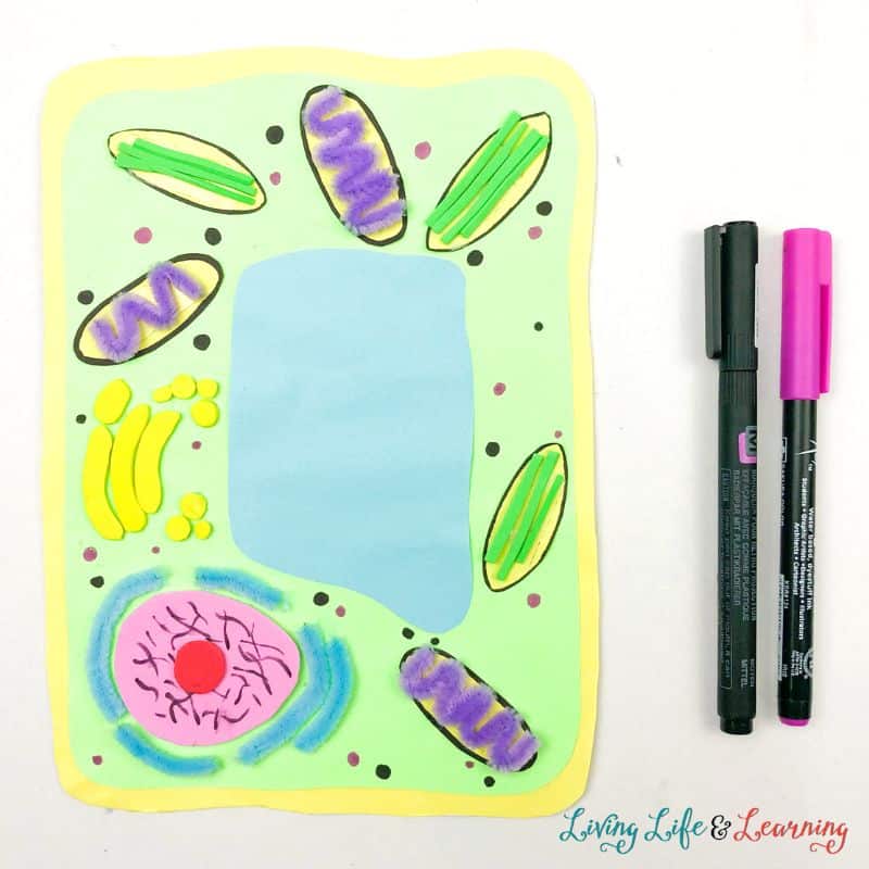 Plant Cell Craft with two markers to its right.