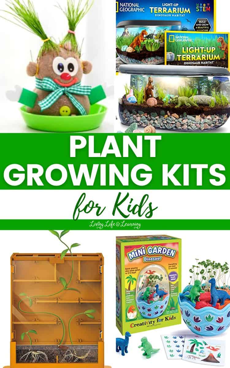 Plant Growing Kits for Kids