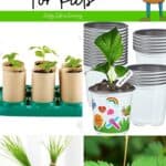 A collage of Plant Growing Kits for Kids