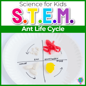 Ants Crafts for Preschoolers: Explore Nature Through Art
