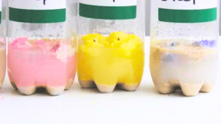 Peeps Science Experiments