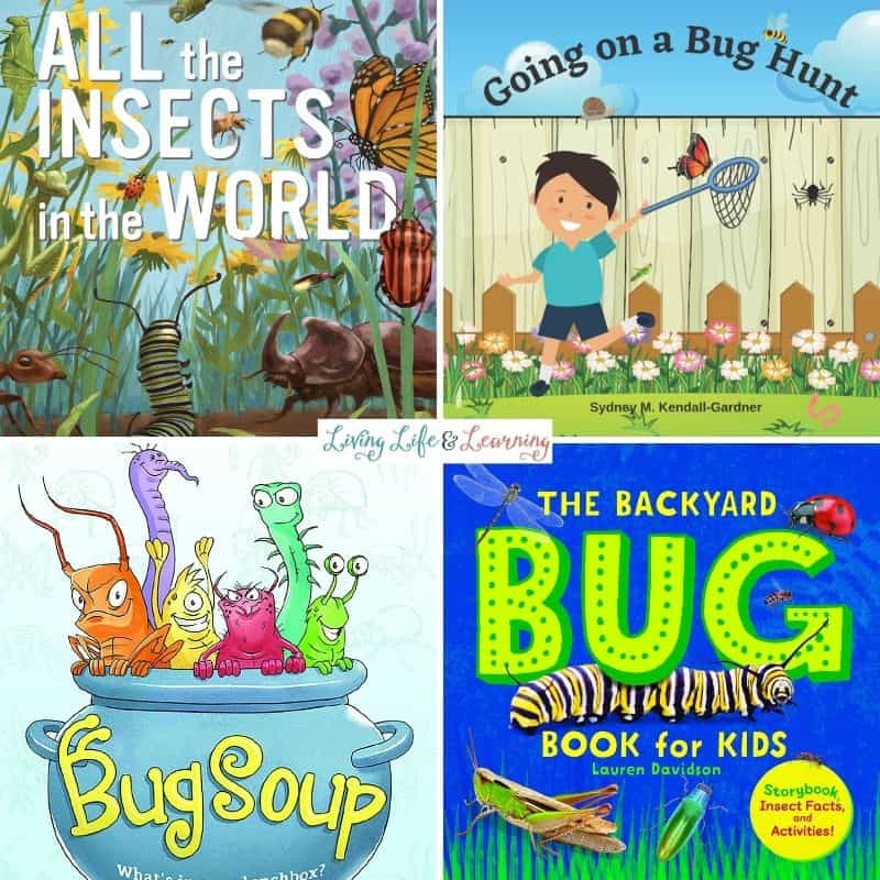 Preschool Bug Books