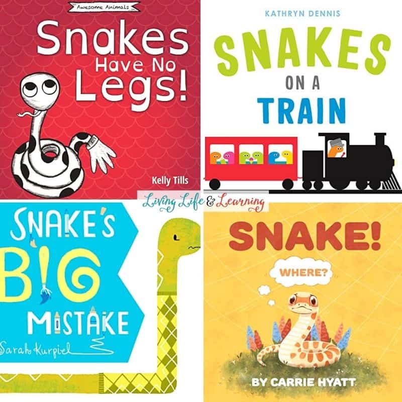 Snake Books for Preschoolers