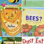 A collage of the Best Books About Bees