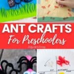 Ant Crafts for Preschoolers