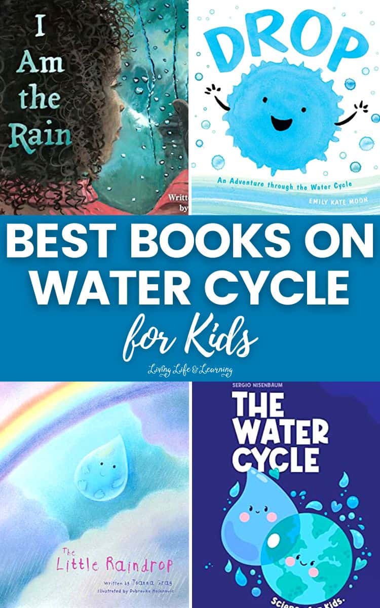A collage of the Best Books on Water Cycle for Kids