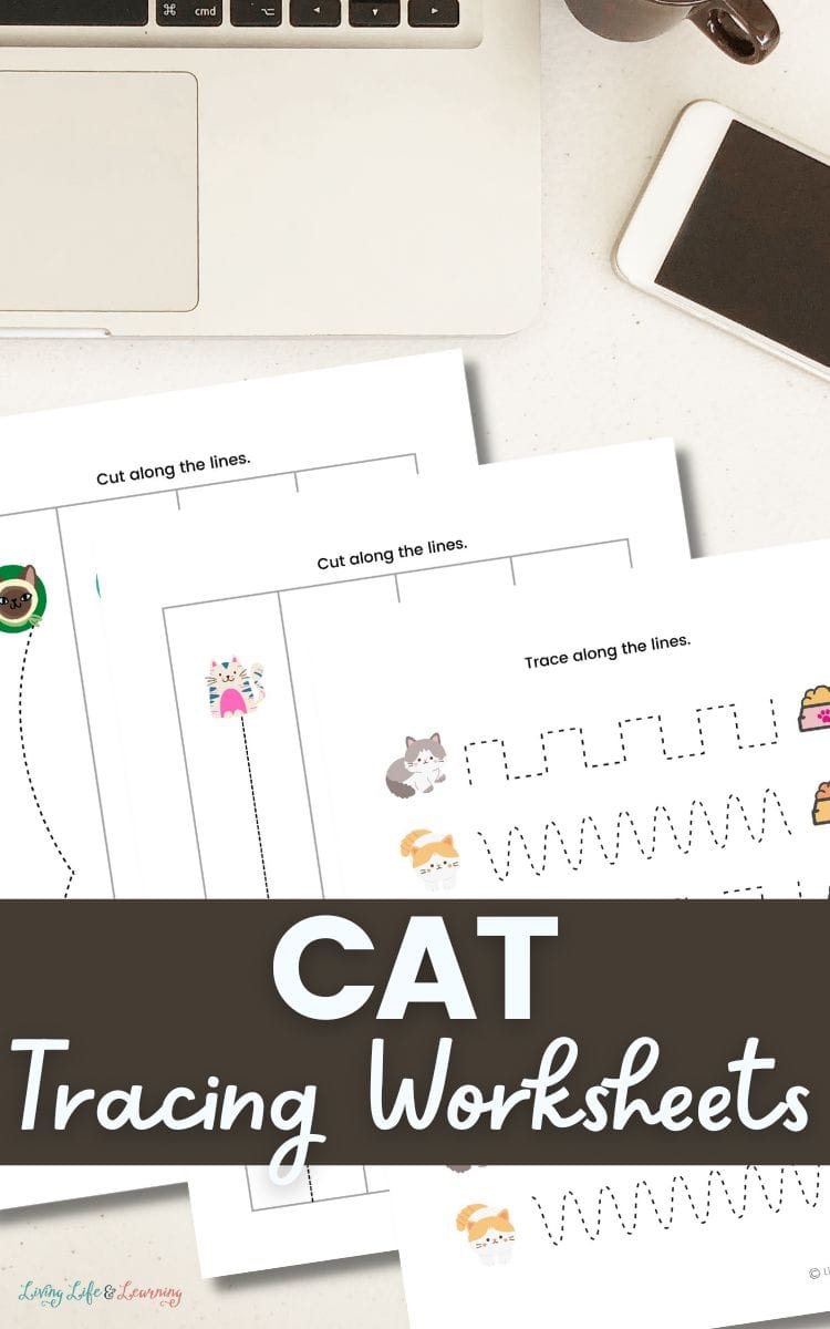 Cat Tracing Worksheets