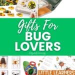 Gifts for Bug Lovers