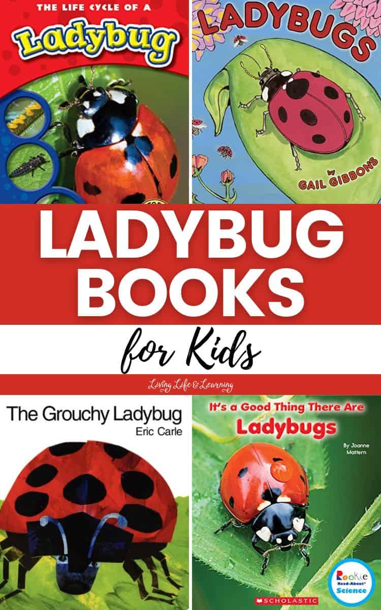 A collage of Ladybug Books for Kids