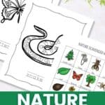 Nature Printables