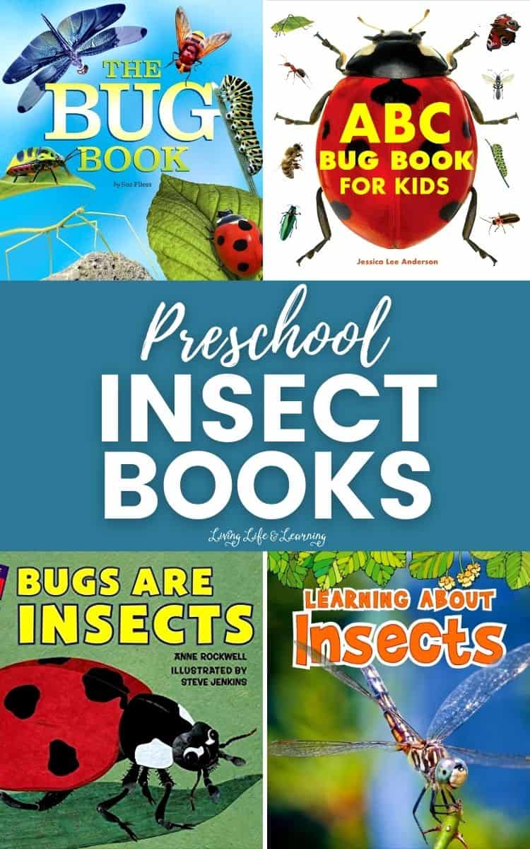Preschool Insect Books
