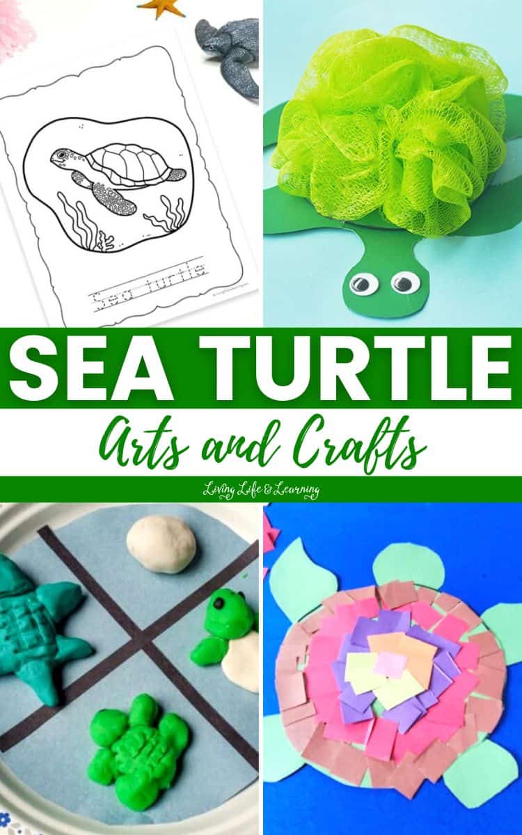 Sea Turtle Arts and Crafts