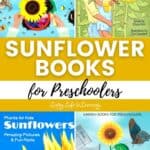 Pictures of Sunflower Books for Preschoolers