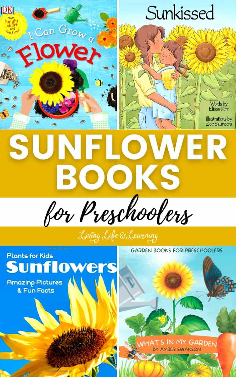 Sunflower Books for Preschoolers