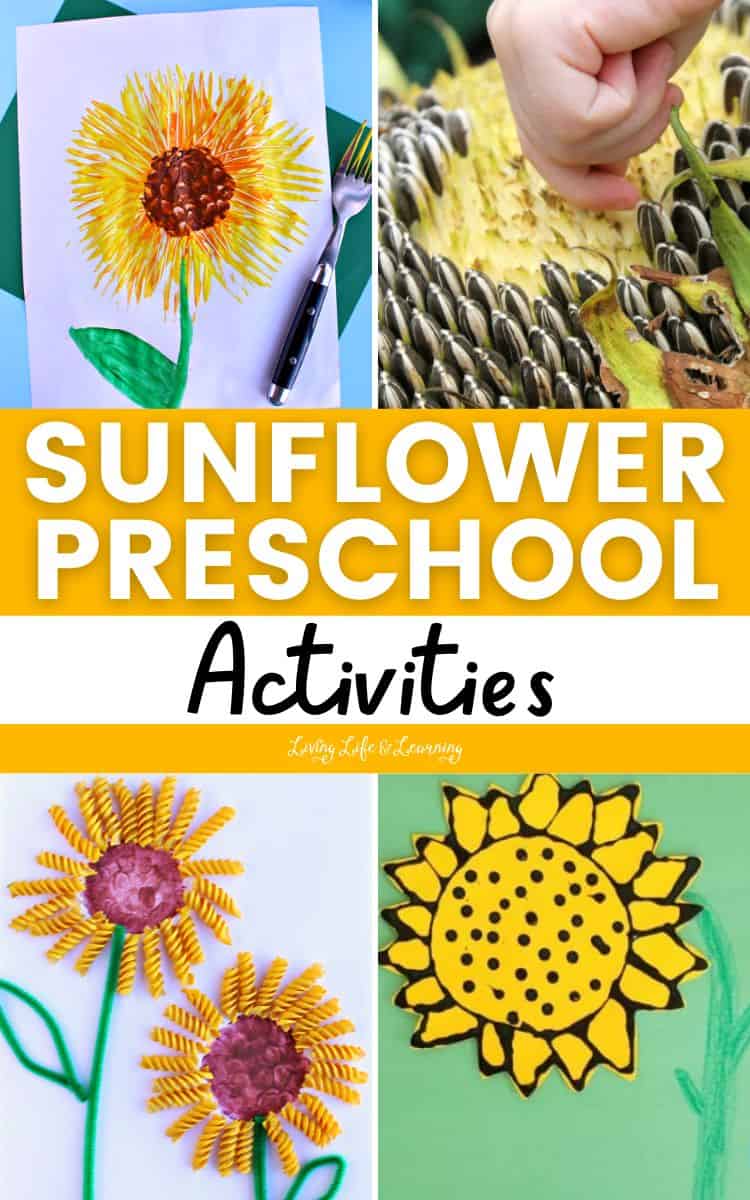 Sunflower Preschool Activities Images