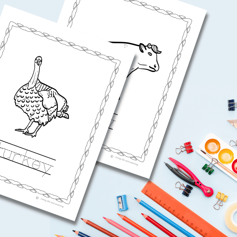 farm animals coloring worksheets images