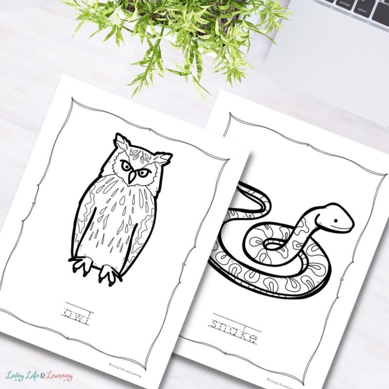 Nature Printables with animal coloring pages
