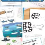 A collage of Ocean Worksheets for Kids