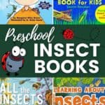 Preschool Insect Books